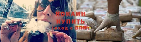 крисы Абдулино