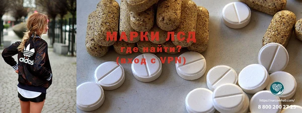 прущие грибы Лихославль