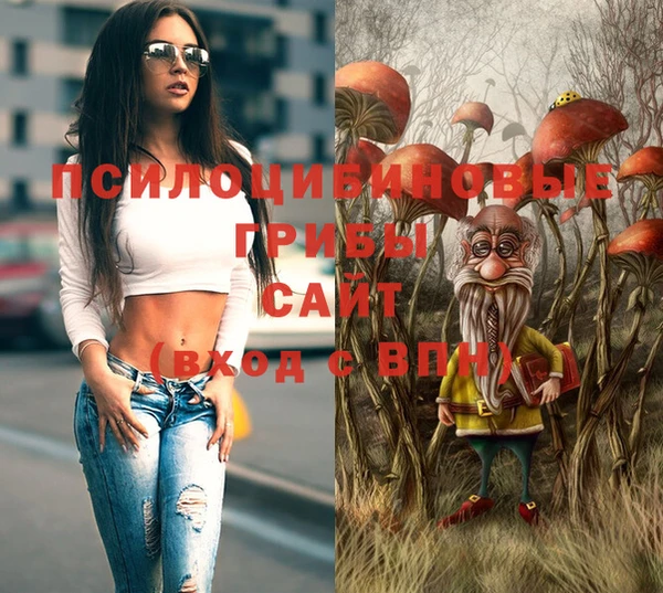прущие грибы Лихославль