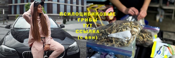 крисы Абдулино